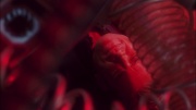 Filename=extant_StarTrek_ENT_1x05-Unexpected_1105.jpg
Filesize=125KiB
Dimensions=1920x1080
Date added=May 17, 2020 extant_StarTrek_ENT_1x05-Unexpected_1105.jpg