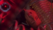 Filename=extant_StarTrek_ENT_1x05-Unexpected_1111.jpg
Filesize=132KiB
Dimensions=1920x1080
Date added=May 17, 2020 extant_StarTrek_ENT_1x05-Unexpected_1111.jpg