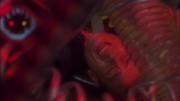Filename=extant_StarTrek_ENT_1x05-Unexpected_1112.jpg
Filesize=129KiB
Dimensions=1920x1080
Date added=May 17, 2020 extant_StarTrek_ENT_1x05-Unexpected_1112.jpg