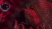 Filename=extant_StarTrek_ENT_1x05-Unexpected_1113.jpg
Filesize=145KiB
Dimensions=1920x1080
Date added=May 17, 2020 extant_StarTrek_ENT_1x05-Unexpected_1113.jpg