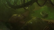 Filename=extant_StarTrek_ENT_1x05-Unexpected_1192.jpg
Filesize=120KiB
Dimensions=1920x1080
Date added=May 17, 2020 extant_StarTrek_ENT_1x05-Unexpected_1192.jpg