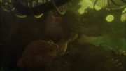 Filename=extant_StarTrek_ENT_1x05-Unexpected_1198.jpg
Filesize=114KiB
Dimensions=1920x1080
Date added=May 17, 2020 extant_StarTrek_ENT_1x05-Unexpected_1198.jpg