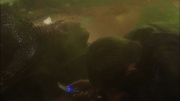 Filename=extant_StarTrek_ENT_1x05-Unexpected_1208.jpg
Filesize=111KiB
Dimensions=1920x1080
Date added=May 17, 2020 extant_StarTrek_ENT_1x05-Unexpected_1208.jpg