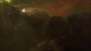 Filename=extant_StarTrek_ENT_1x05-Unexpected_1221.jpg
Filesize=105KiB
Dimensions=1920x1080
Date added=May 17, 2020 extant_StarTrek_ENT_1x05-Unexpected_1221.jpg