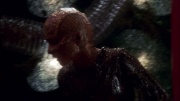 Filename=extant_StarTrek_ENT_1x05-Unexpected_1284.jpg
Filesize=155KiB
Dimensions=1920x1080
Date added=May 17, 2020 extant_StarTrek_ENT_1x05-Unexpected_1284.jpg