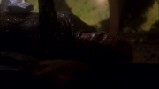 Filename=extant_StarTrek_ENT_1x05-Unexpected_1494.jpg
Filesize=76KiB
Dimensions=1920x1080
Date added=May 17, 2020 extant_StarTrek_ENT_1x05-Unexpected_1494.jpg