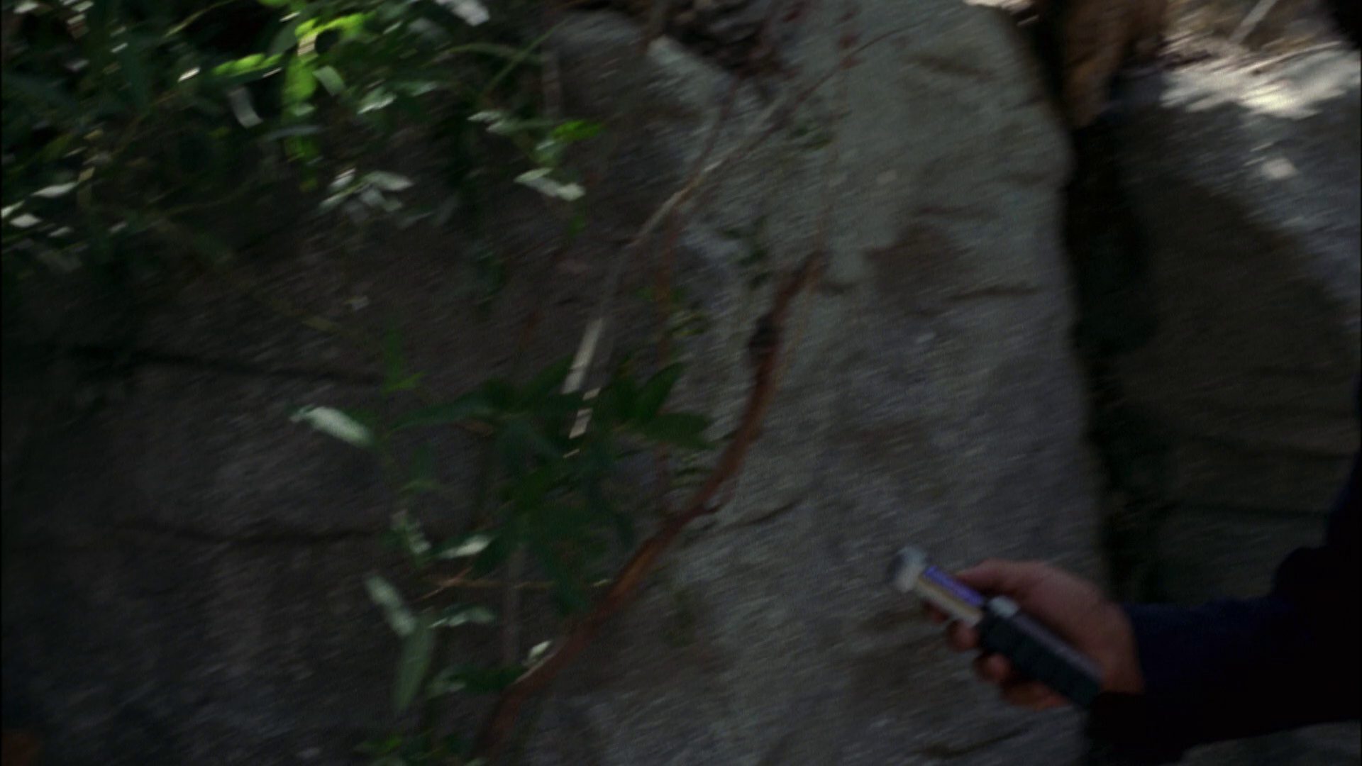extant_StarTrek_ENT_1x06-TerraNova_0722.jpg