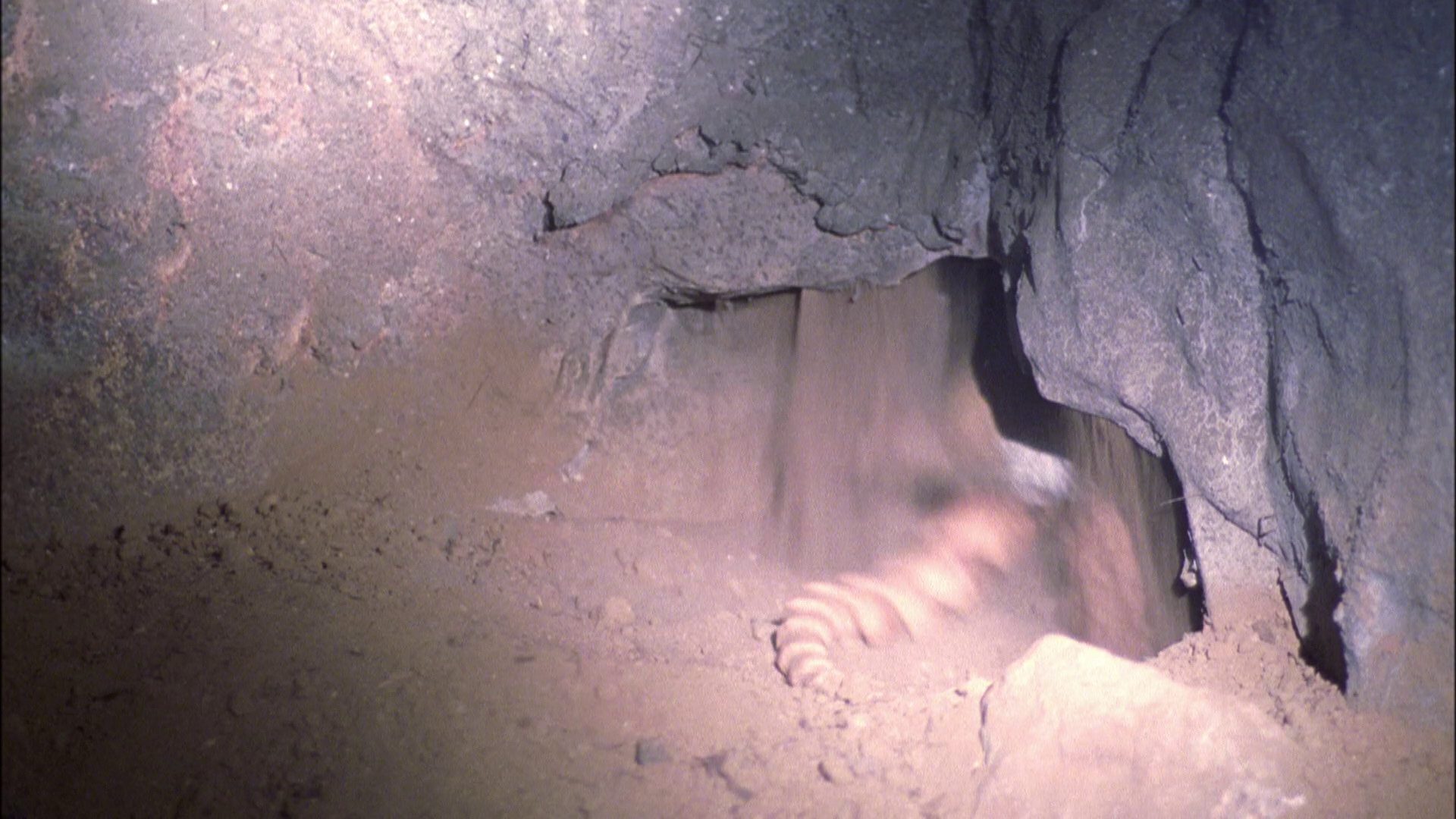 extant_StarTrek_ENT_1x06-TerraNova_0822.jpg