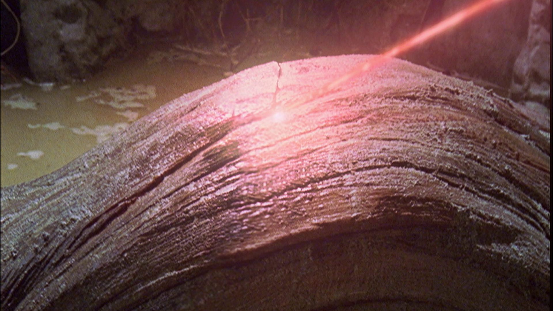 extant_StarTrek_ENT_1x06-TerraNova_3452.jpg