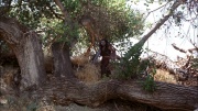 Filename=extant_StarTrek_ENT_1x06-TerraNova_0670.jpg
Filesize=399KiB
Dimensions=1920x1080
Date added=May 18, 2020 extant_StarTrek_ENT_1x06-TerraNova_0670.jpg