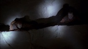 extant_StarTrek_ENT_1x06-TerraNova_0930.jpg