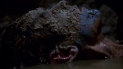Filename=extant_StarTrek_ENT_1x06-TerraNova_3388.jpg
Filesize=135KiB
Dimensions=1920x1080
Date added=May 18, 2020 extant_StarTrek_ENT_1x06-TerraNova_3388.jpg