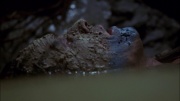 Filename=extant_StarTrek_ENT_1x06-TerraNova_3400.jpg
Filesize=137KiB
Dimensions=1920x1080
Date added=May 18, 2020 extant_StarTrek_ENT_1x06-TerraNova_3400.jpg