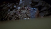 Filename=extant_StarTrek_ENT_1x06-TerraNova_3403.jpg
Filesize=142KiB
Dimensions=1920x1080
Date added=May 18, 2020 extant_StarTrek_ENT_1x06-TerraNova_3403.jpg