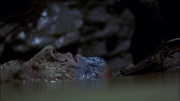 Filename=extant_StarTrek_ENT_1x06-TerraNova_3428.jpg
Filesize=148KiB
Dimensions=1920x1080
Date added=May 18, 2020 extant_StarTrek_ENT_1x06-TerraNova_3428.jpg