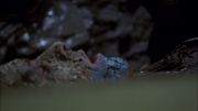Filename=extant_StarTrek_ENT_1x06-TerraNova_3429.jpg
Filesize=130KiB
Dimensions=1920x1080
Date added=May 18, 2020 extant_StarTrek_ENT_1x06-TerraNova_3429.jpg