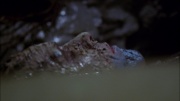 Filename=extant_StarTrek_ENT_1x06-TerraNova_3456.jpg
Filesize=128KiB
Dimensions=1920x1080
Date added=May 18, 2020 extant_StarTrek_ENT_1x06-TerraNova_3456.jpg