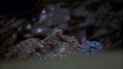 Filename=extant_StarTrek_ENT_1x06-TerraNova_3457.jpg
Filesize=135KiB
Dimensions=1920x1080
Date added=May 18, 2020 extant_StarTrek_ENT_1x06-TerraNova_3457.jpg