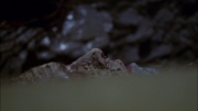 Filename=extant_StarTrek_ENT_1x06-TerraNova_3458.jpg
Filesize=128KiB
Dimensions=1920x1080
Date added=May 18, 2020 extant_StarTrek_ENT_1x06-TerraNova_3458.jpg