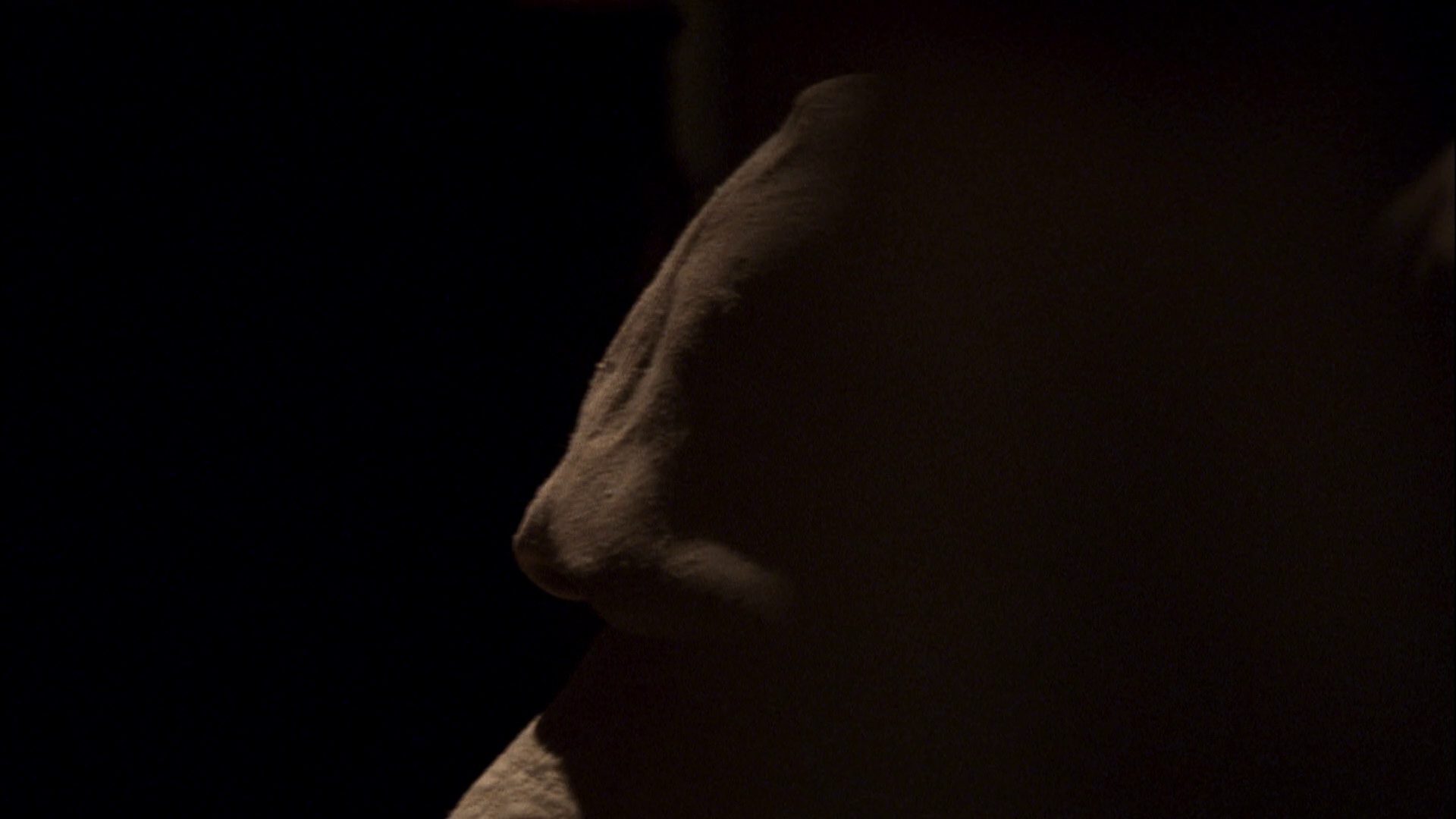 extant_StarTrek_ENT_1x07-TheAndorianIncident_0030.jpg