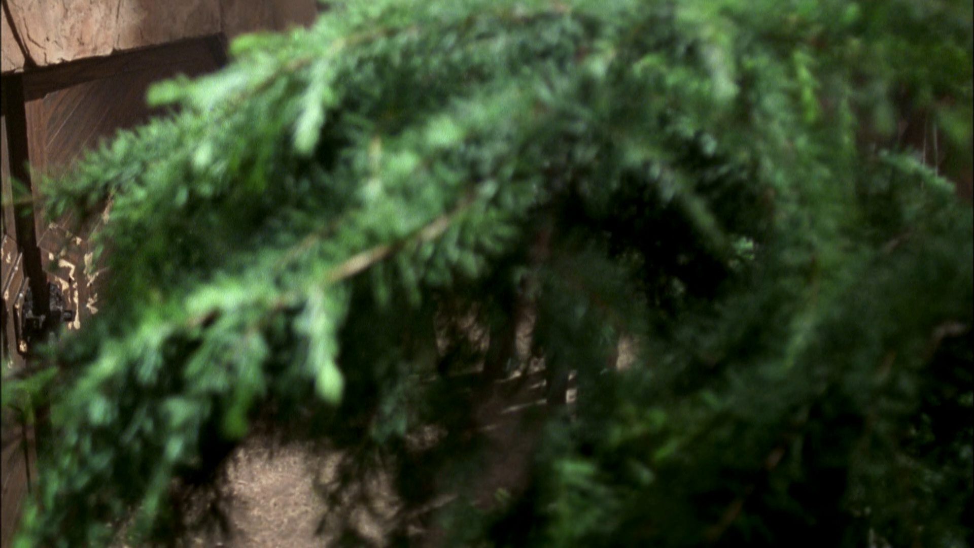 extant_StarTrek_ENT_1x07-TheAndorianIncident_0609.jpg
