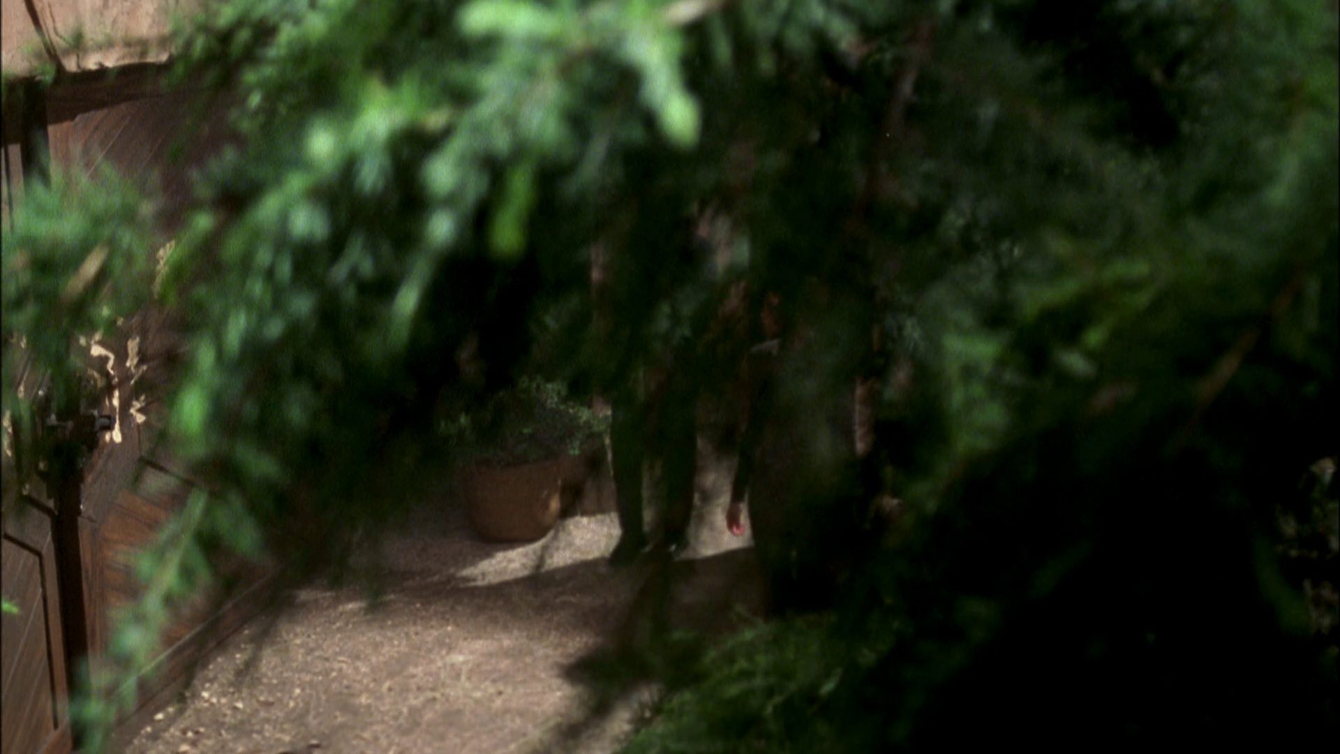extant_StarTrek_ENT_1x07-TheAndorianIncident_0610.jpg