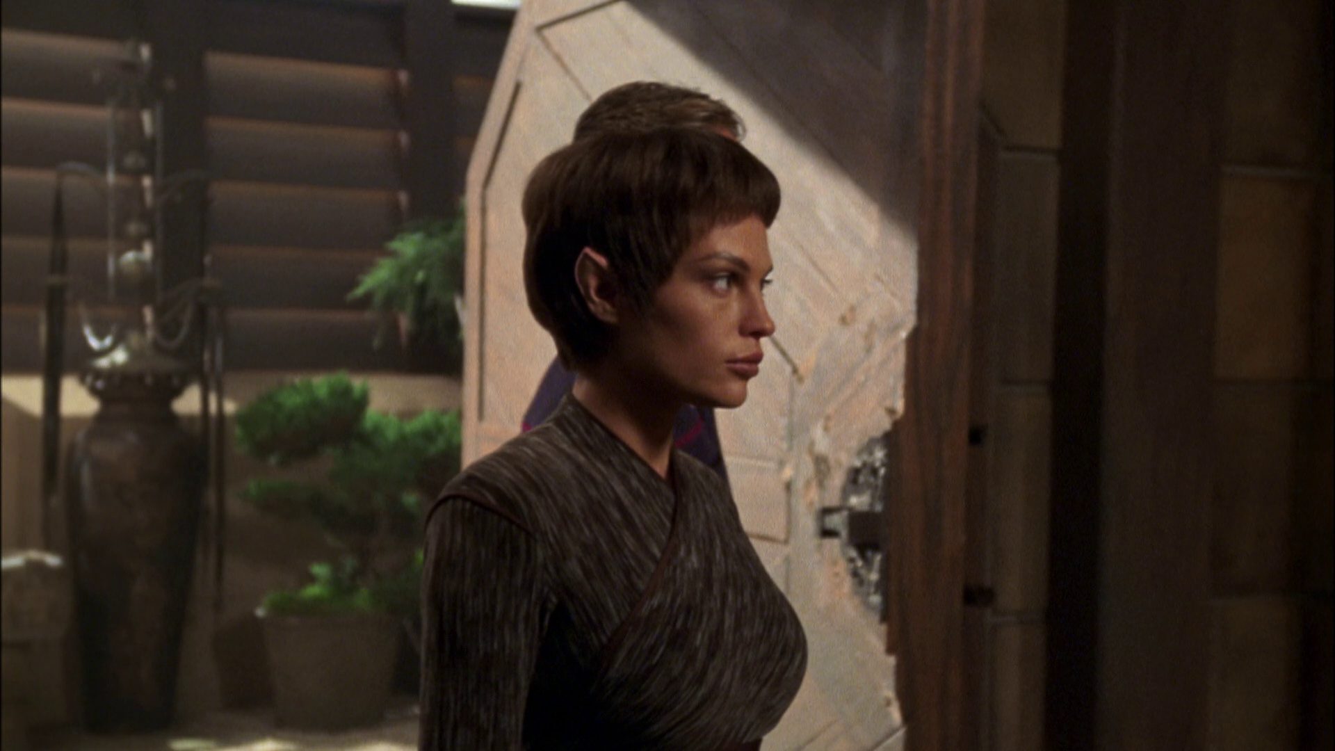 extant_StarTrek_ENT_1x07-TheAndorianIncident_0829.jpg