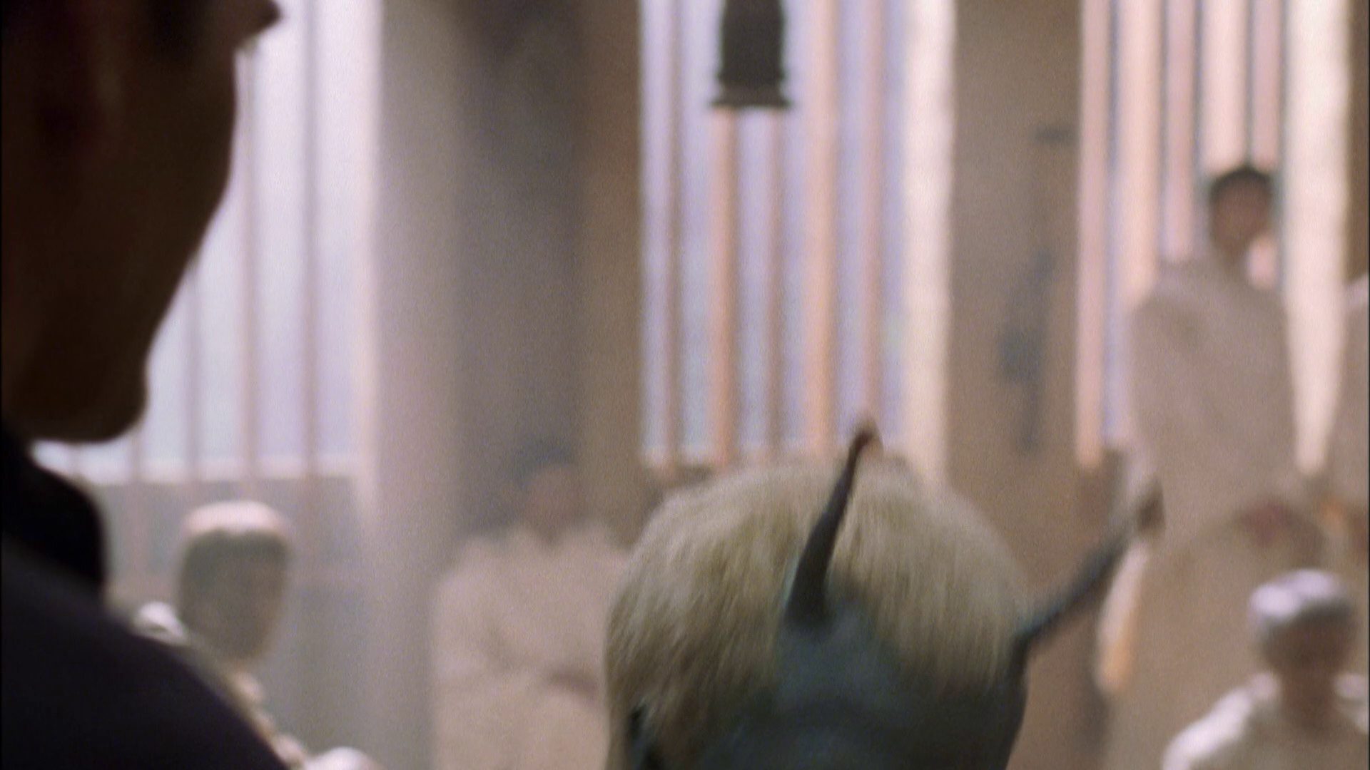 extant_StarTrek_ENT_1x07-TheAndorianIncident_1104.jpg