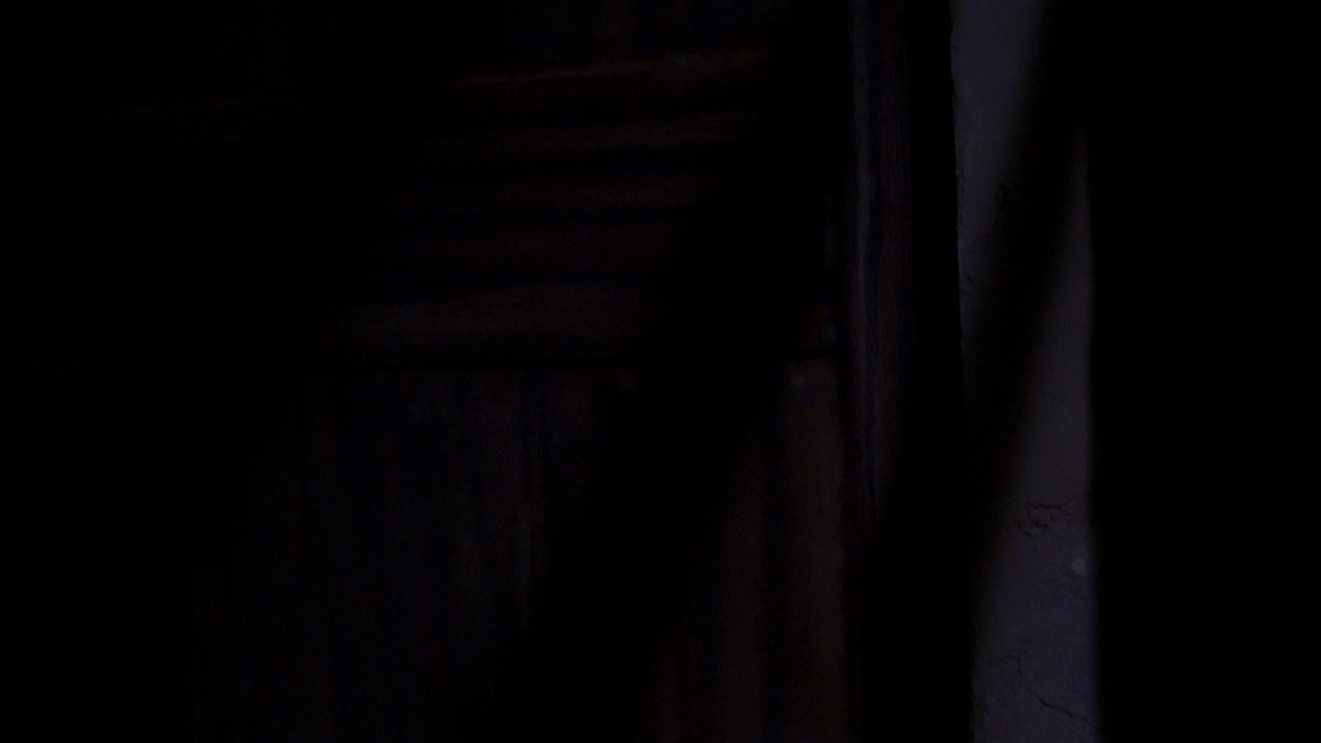 extant_StarTrek_ENT_1x07-TheAndorianIncident_2080.jpg