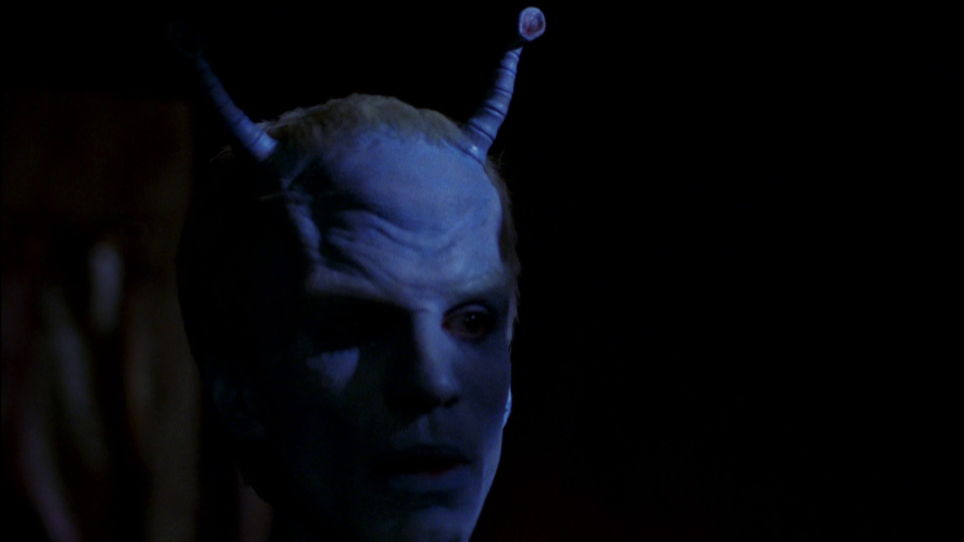 extant_StarTrek_ENT_1x07-TheAndorianIncident_2095.jpg