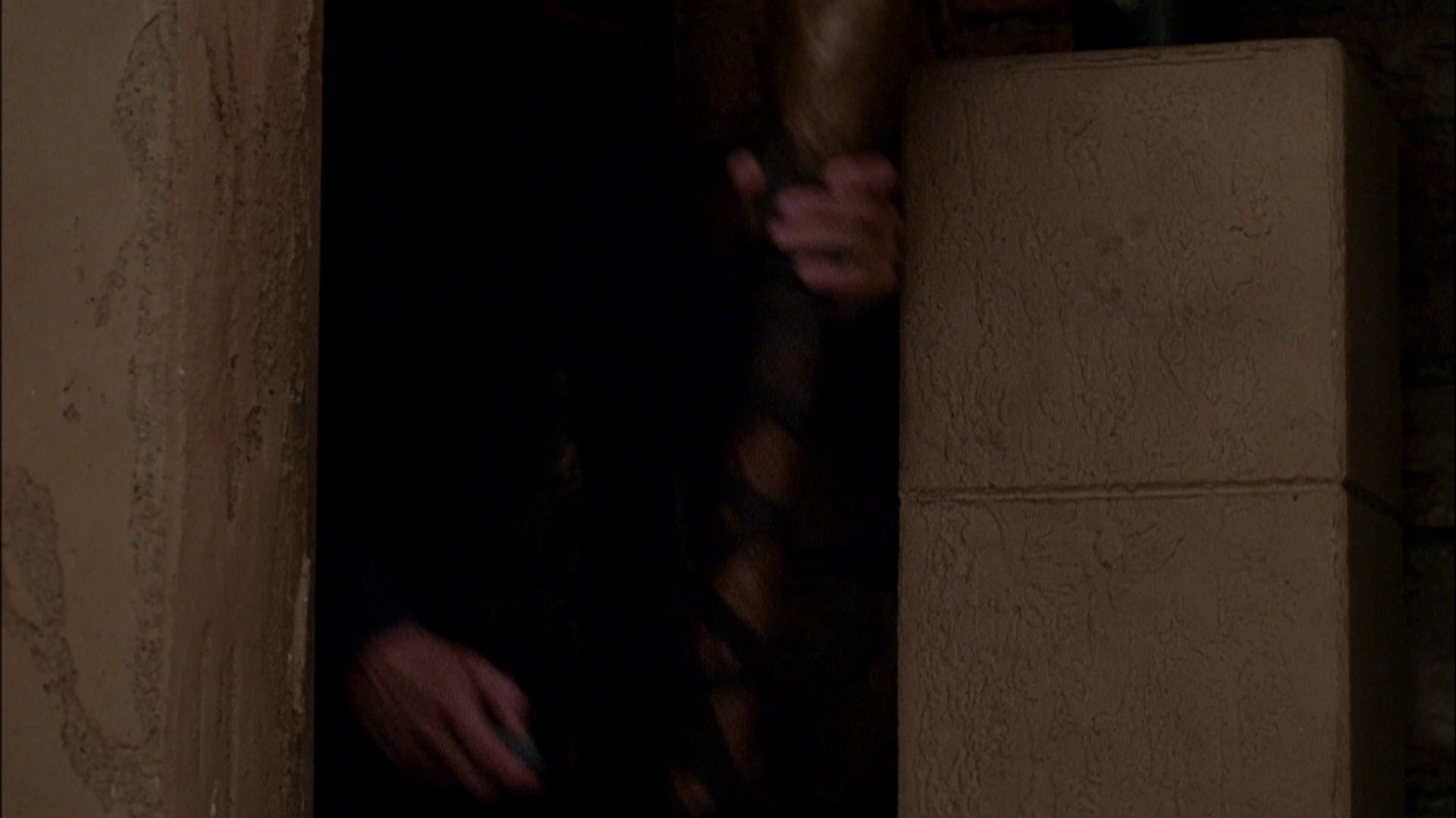 extant_StarTrek_ENT_1x07-TheAndorianIncident_2828.jpg
