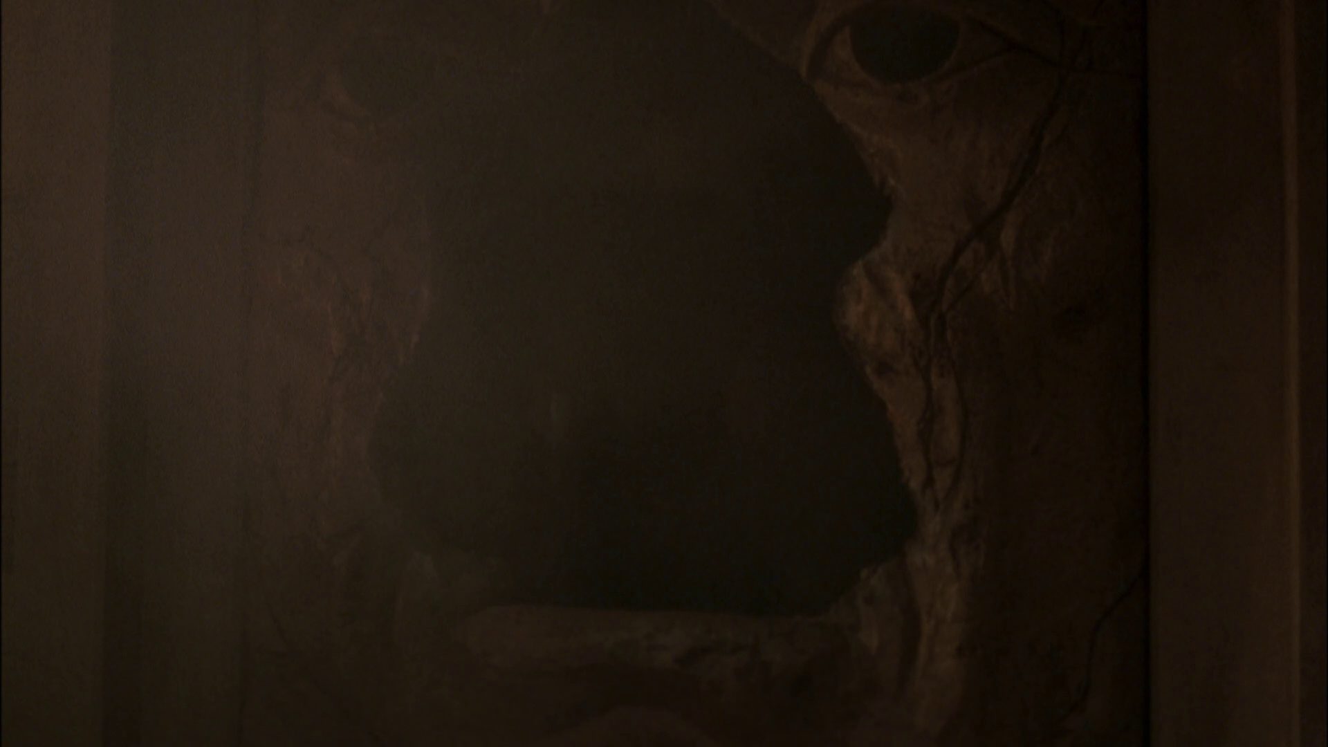 extant_StarTrek_ENT_1x07-TheAndorianIncident_3148.jpg