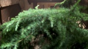 extant_StarTrek_ENT_1x07-TheAndorianIncident_0608.jpg