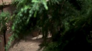 extant_StarTrek_ENT_1x07-TheAndorianIncident_0610.jpg