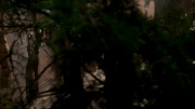 Filename=extant_StarTrek_ENT_1x07-TheAndorianIncident_0620.jpg
Filesize=121KiB
Dimensions=1920x1080
Date added=May 18, 2020 extant_StarTrek_ENT_1x07-TheAndorianIncident_0620.jpg