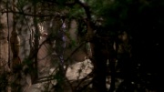 Filename=extant_StarTrek_ENT_1x07-TheAndorianIncident_0621.jpg
Filesize=144KiB
Dimensions=1920x1080
Date added=May 18, 2020 extant_StarTrek_ENT_1x07-TheAndorianIncident_0621.jpg