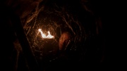 Filename=extant_StarTrek_ENT_1x07-TheAndorianIncident_2787.jpg
Filesize=84KiB
Dimensions=1920x1080
Date added=May 18, 2020 extant_StarTrek_ENT_1x07-TheAndorianIncident_2787.jpg