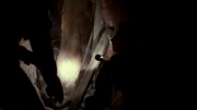 Filename=extant_StarTrek_ENT_1x07-TheAndorianIncident_2993.jpg
Filesize=80KiB
Dimensions=1920x1080
Date added=May 18, 2020 extant_StarTrek_ENT_1x07-TheAndorianIncident_2993.jpg