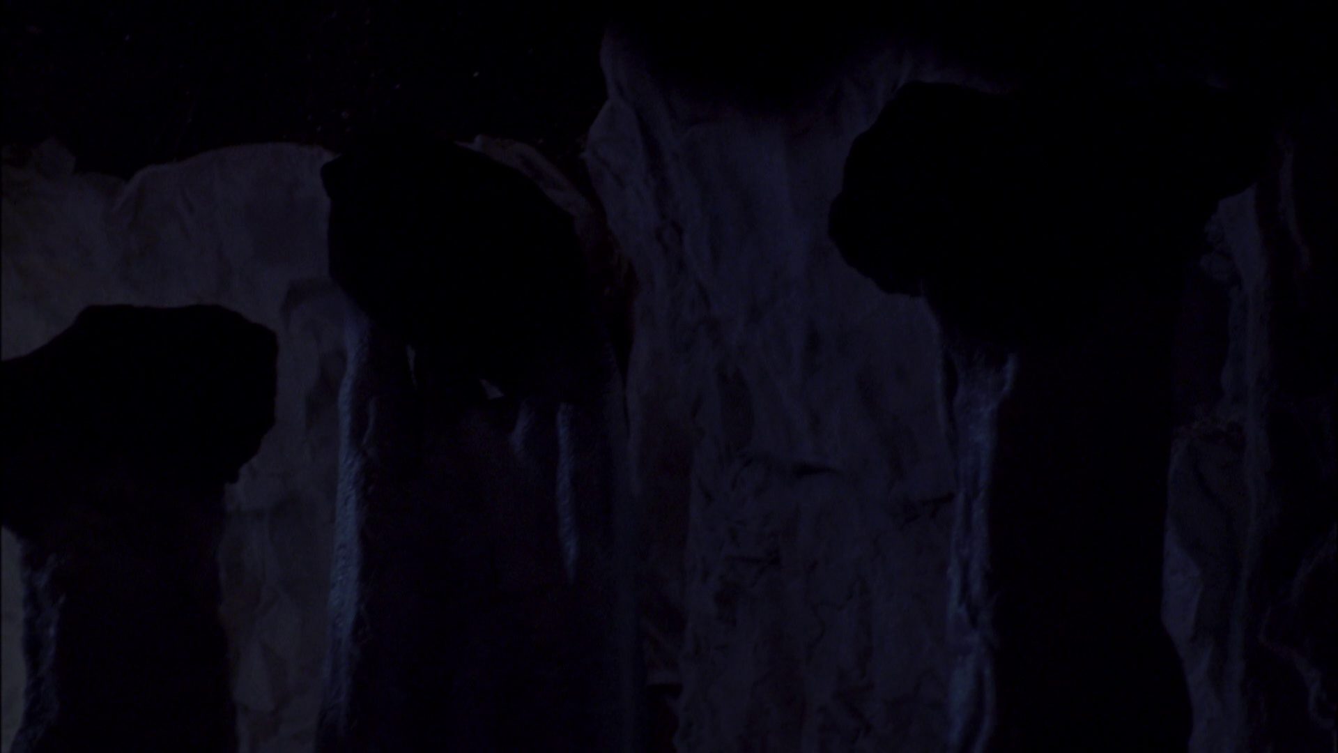 extant_StarTrek_ENT_1x08-BreakingTheIce_0815.jpg