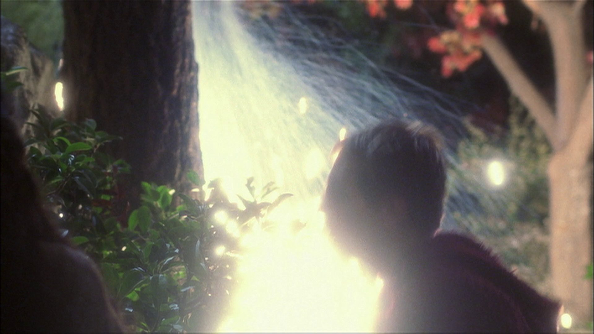 extant_StarTrek_ENT_1x09-Civilization_2475.jpg