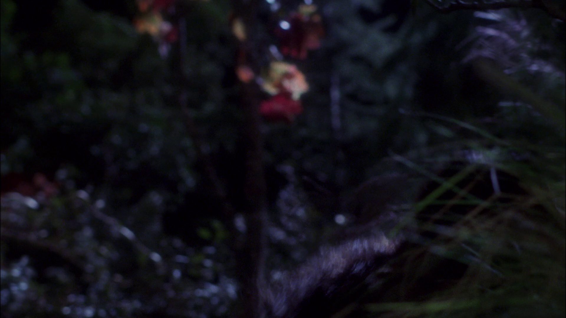 extant_StarTrek_ENT_1x09-Civilization_2478.jpg