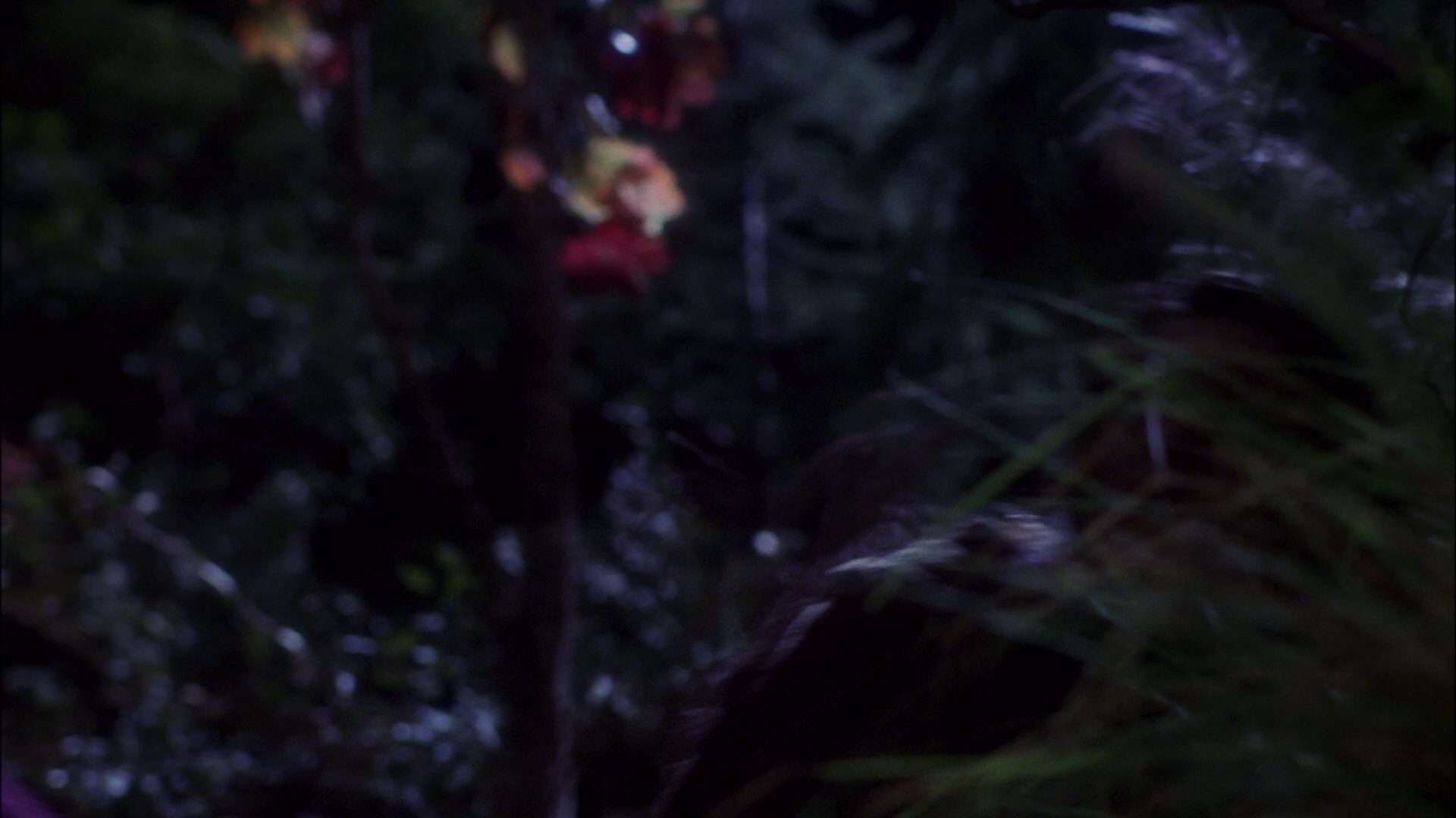 extant_StarTrek_ENT_1x09-Civilization_2479.jpg
