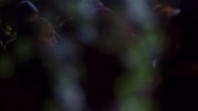 extant_StarTrek_ENT_1x09-Civilization_0701.jpg