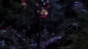 extant_StarTrek_ENT_1x09-Civilization_2478.jpg