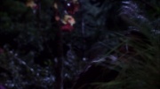 extant_StarTrek_ENT_1x09-Civilization_2479.jpg