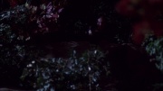 extant_StarTrek_ENT_1x09-Civilization_2488.jpg