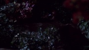 extant_StarTrek_ENT_1x09-Civilization_2490.jpg
