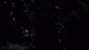 extant_StarTrek_ENT_1x09-Civilization_2491.jpg