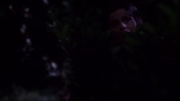 extant_StarTrek_ENT_1x09-Civilization_2492.jpg