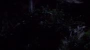 Filename=extant_StarTrek_ENT_1x09-Civilization_2503.jpg
Filesize=102KiB
Dimensions=1920x1080
Date added=May 19, 2020 extant_StarTrek_ENT_1x09-Civilization_2503.jpg